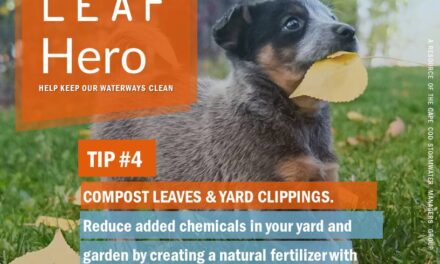 CLEAN WATER  BEGINS WITH YOU – Be a Leaf Hero!
