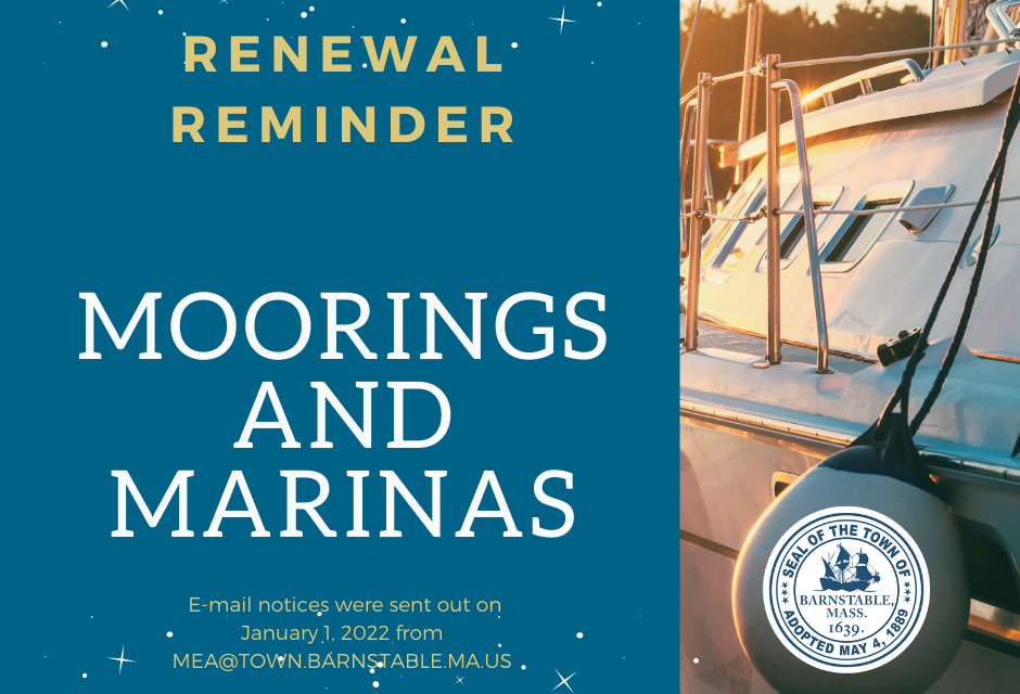 Renewal deadlines for Moorings and Marinas