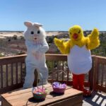 Bunny and Sidekick Chick’s egg-citing adventures 2022 Challenge