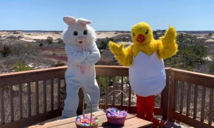 Bunny and Sidekick Chick’s egg-citing adventures 2022 Challenge
