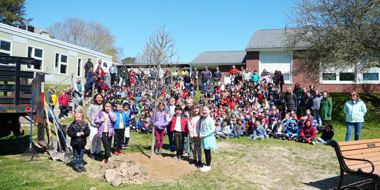 Celebrating Arbor Day at Barnstable West Barnstable Elementary School