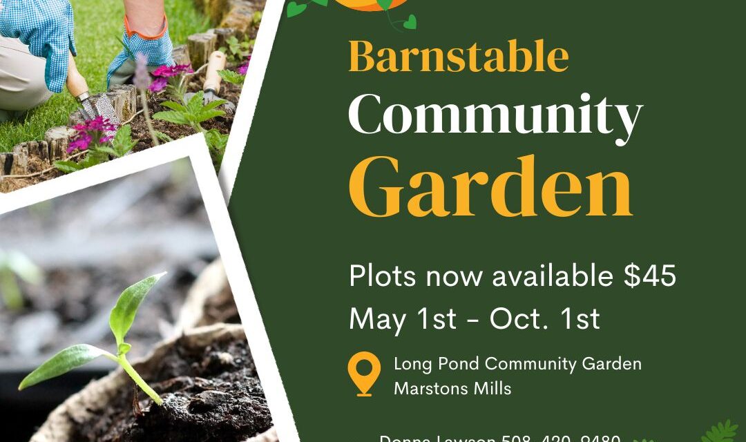 2023 Community Garden Plots now available