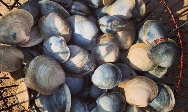 19th Annual Fun -Filled Clamming Classes for Kids